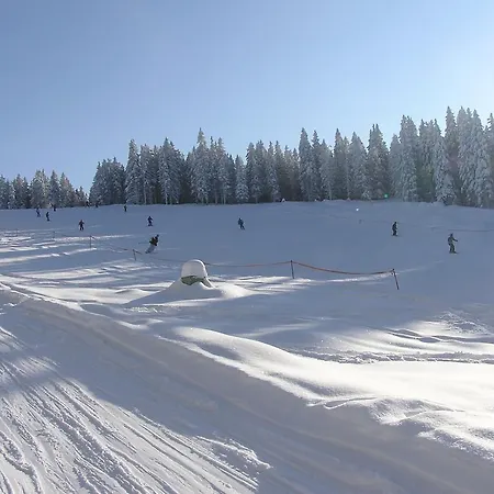 Διαμέρισμα Rogla *