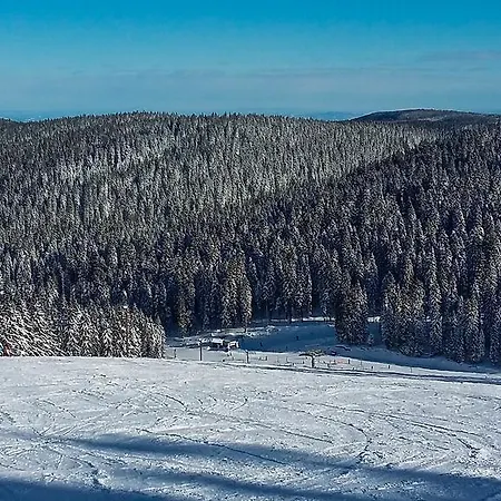 Rogla Διαμέρισμα