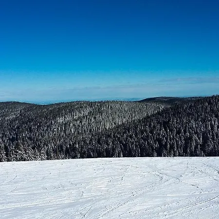 Διαμέρισμα Rogla *