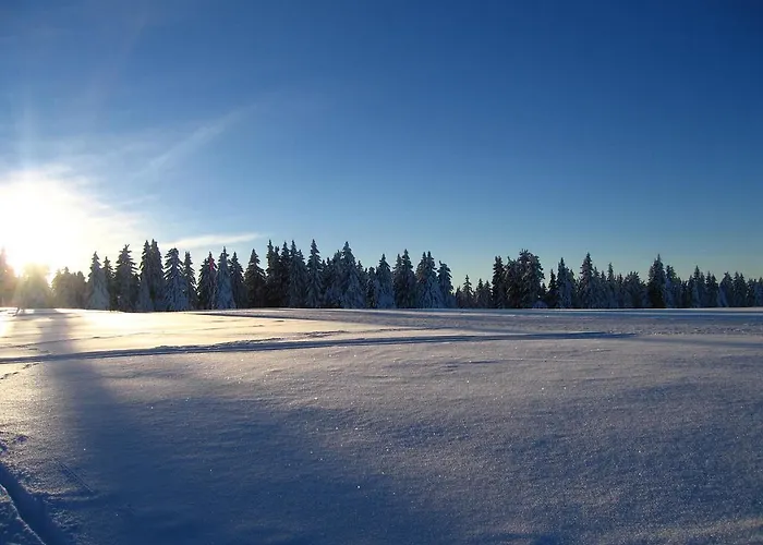 Appartement Rogla Zreče