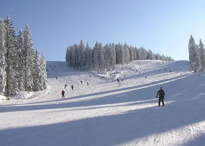 Апартаменты Rogla Зрече