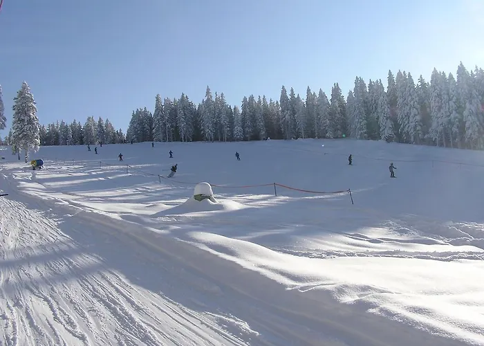 Апартаменты Rogla *