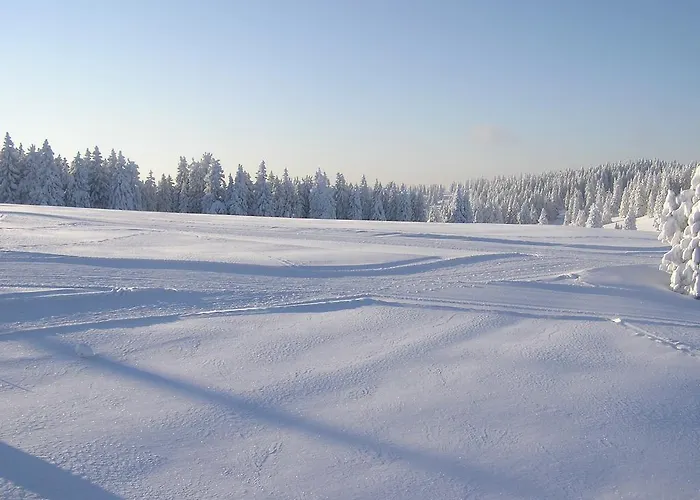 Апартаменты Rogla *