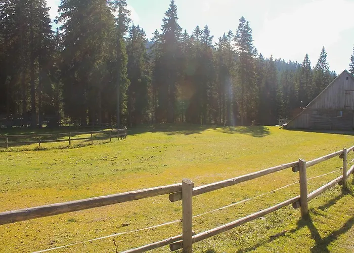 Appartement Rogla Zreče