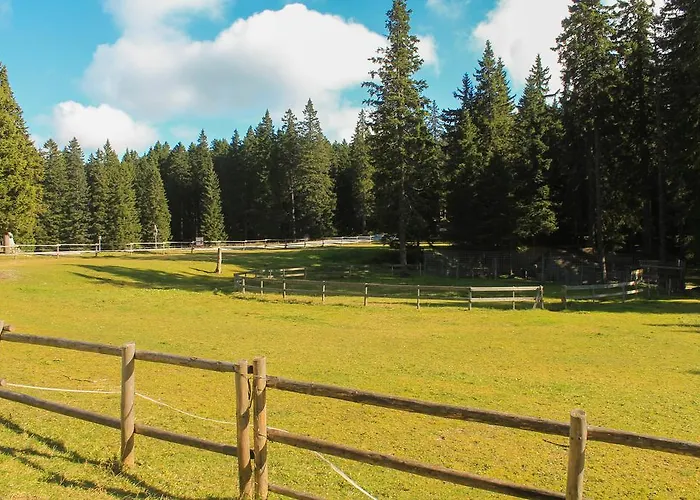 Апартаменты Rogla *