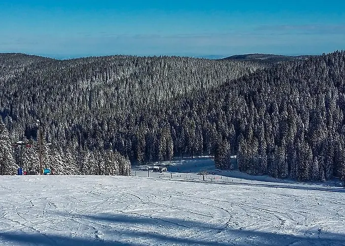 Rogla Апартаменты