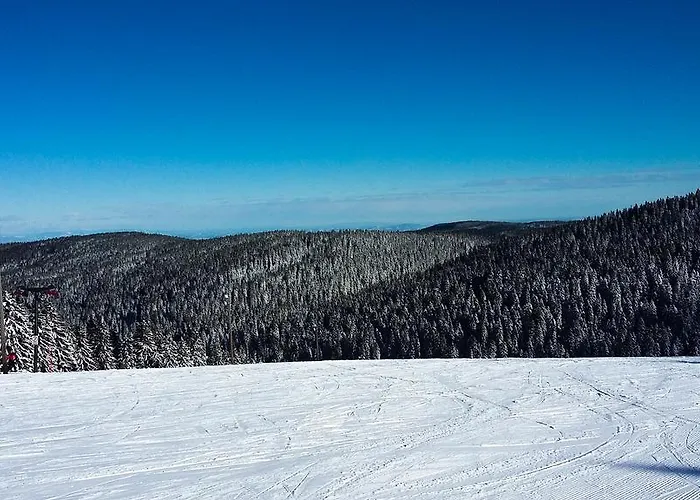 Апартаменты Rogla *